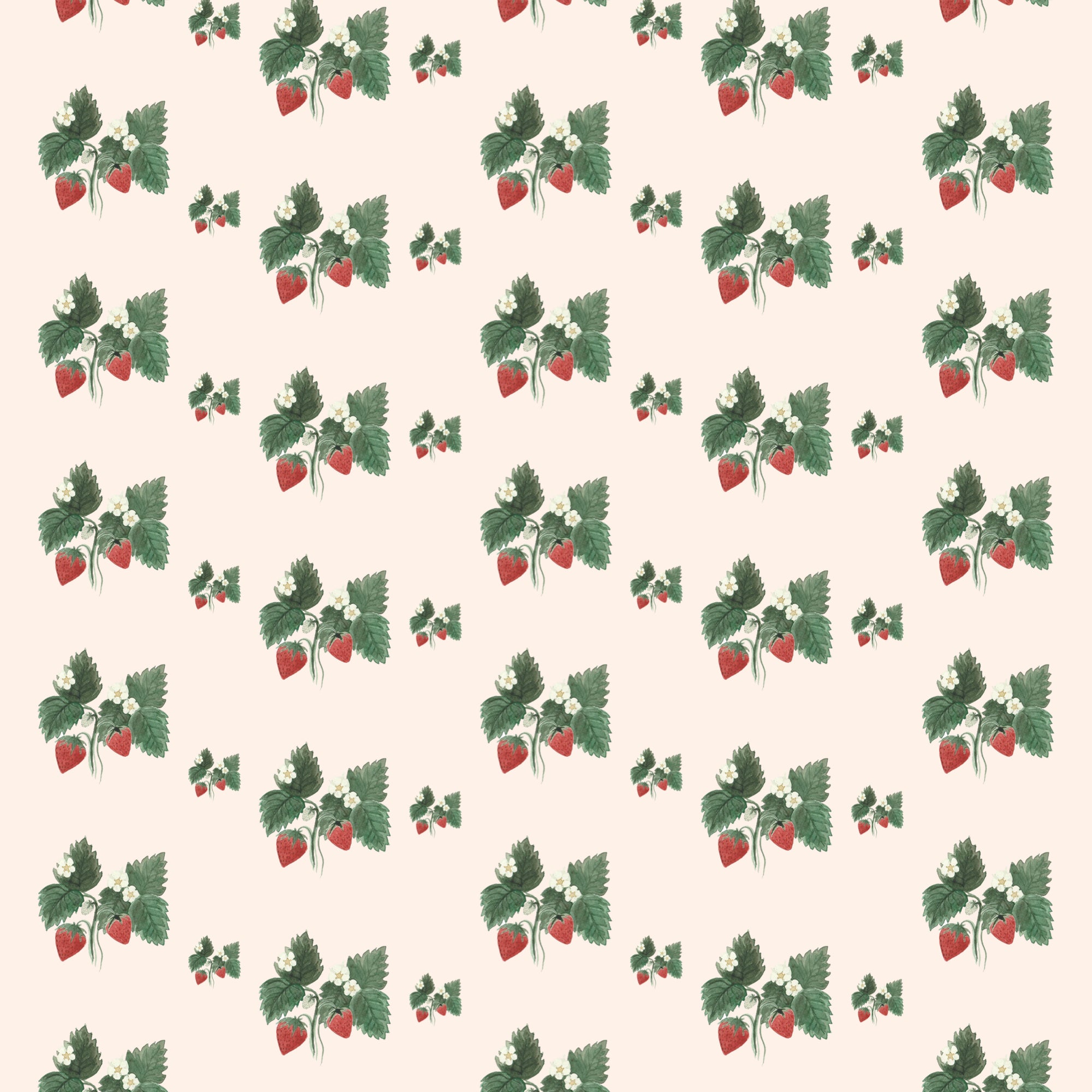 Strawberry Wrapping Paper