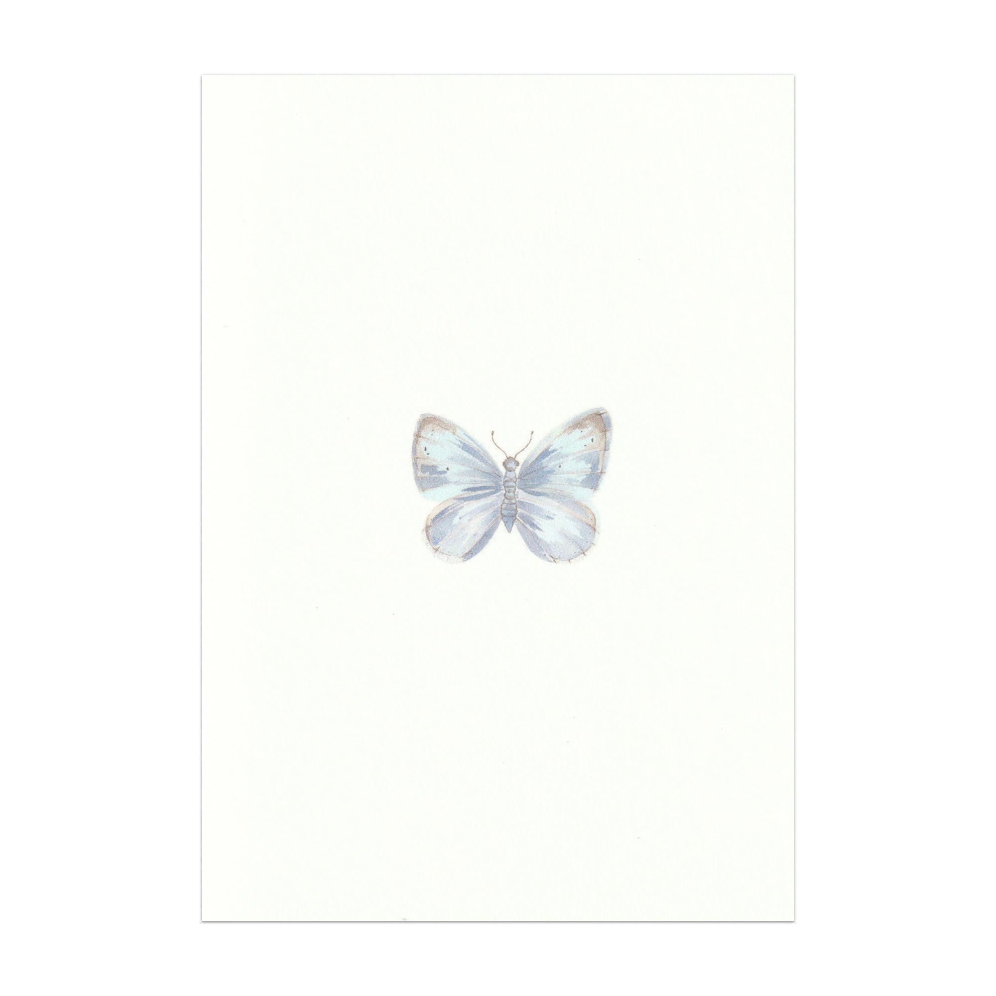 Pack of 5 Butterfly Cards - Seconds