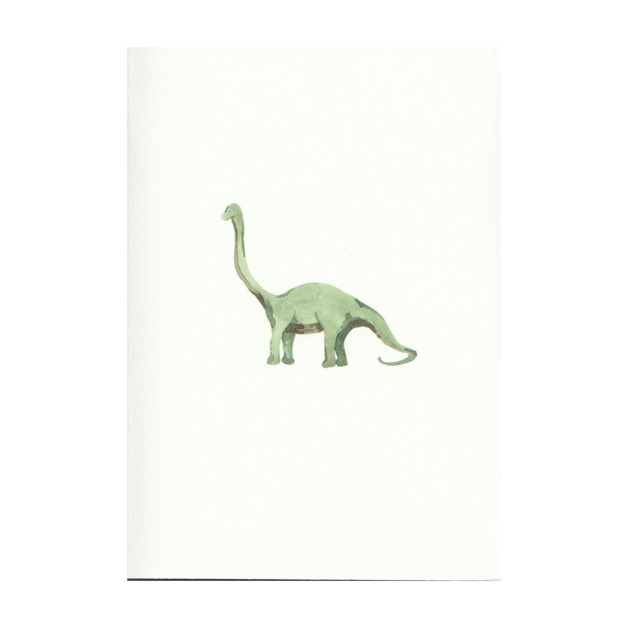 Pack of 5 Diplodocus Dinosaur Cards - Seconds