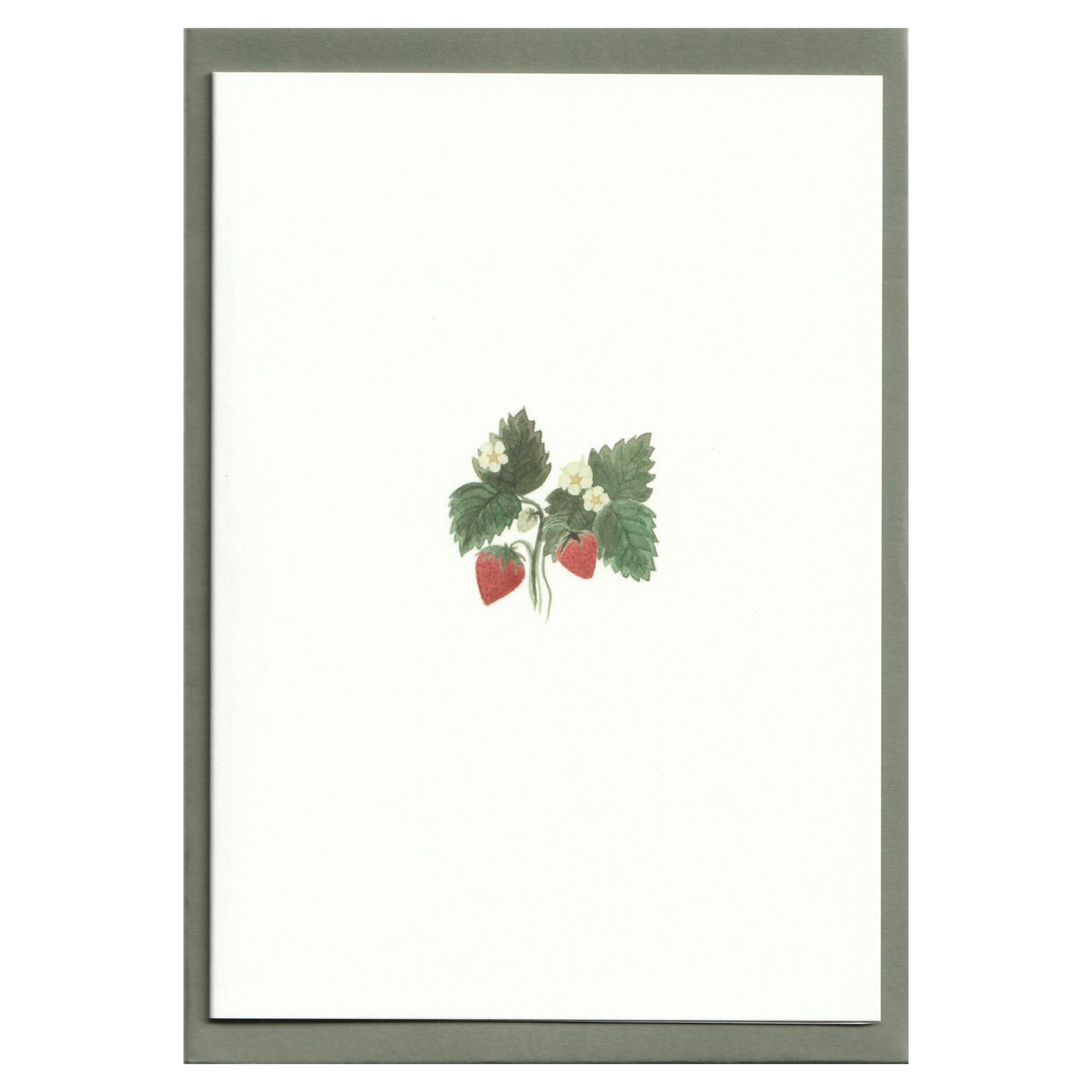 Pack of 5 Flower Cards