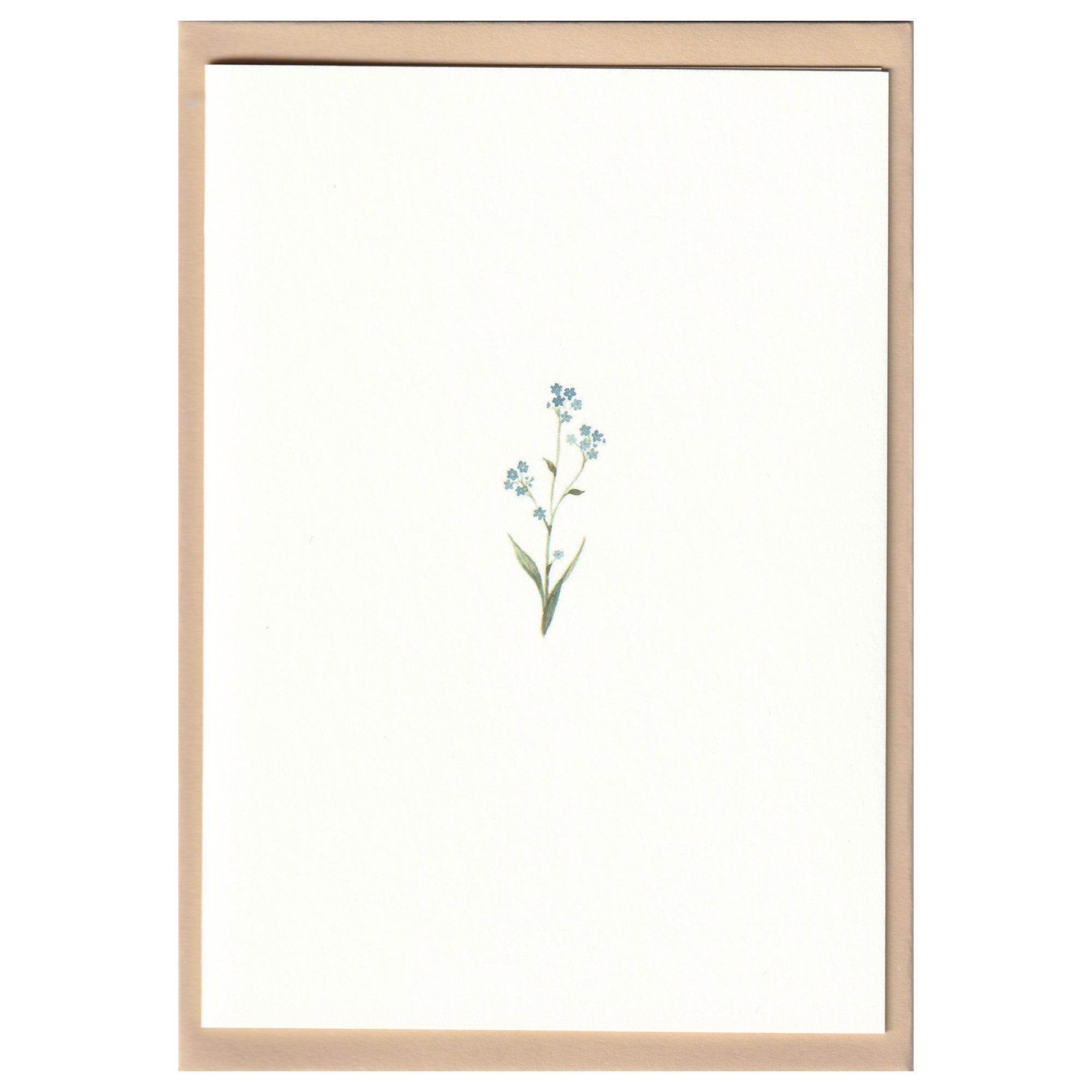 Pack of 5 Flower Cards