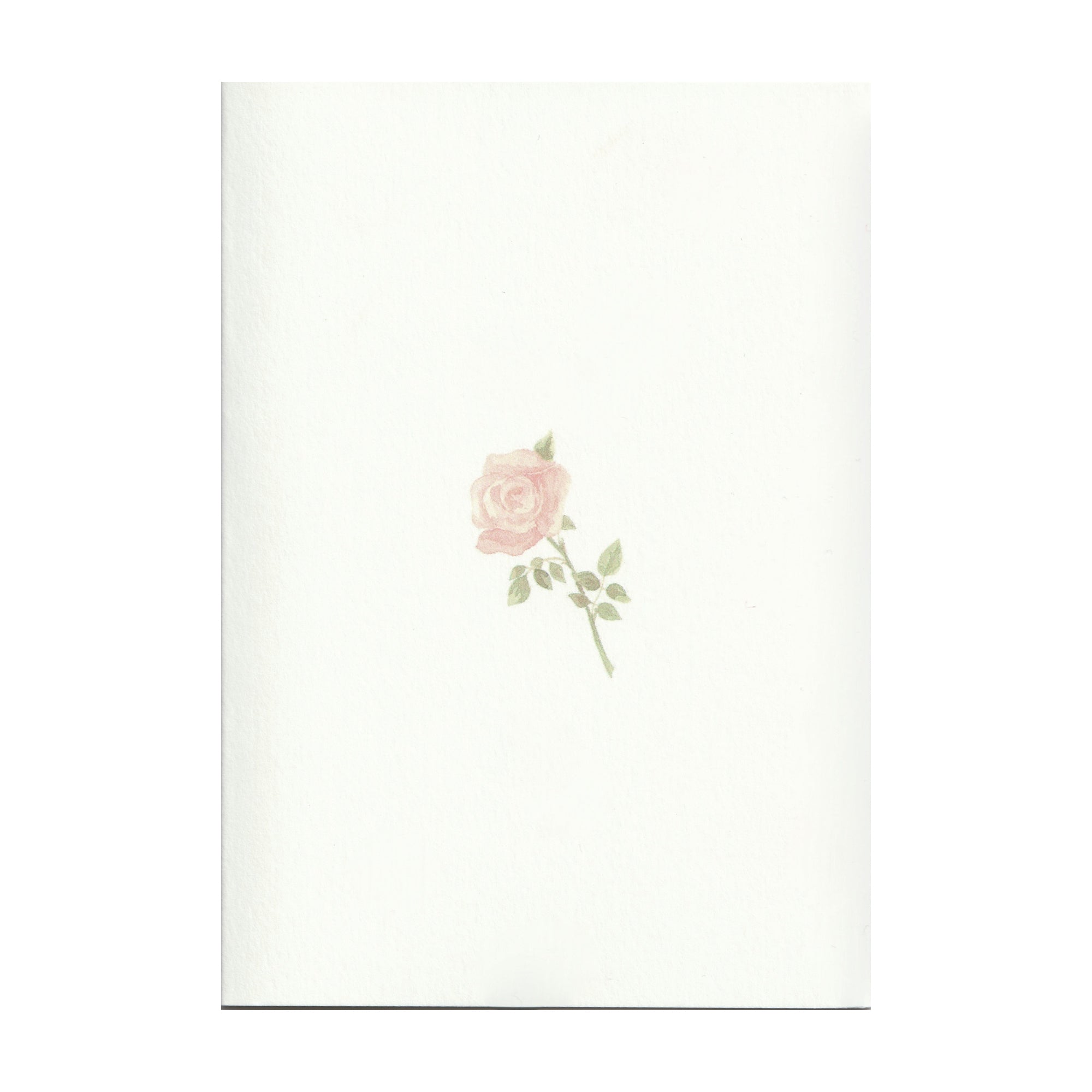 Pack of 5 Rose Cards - Seconds