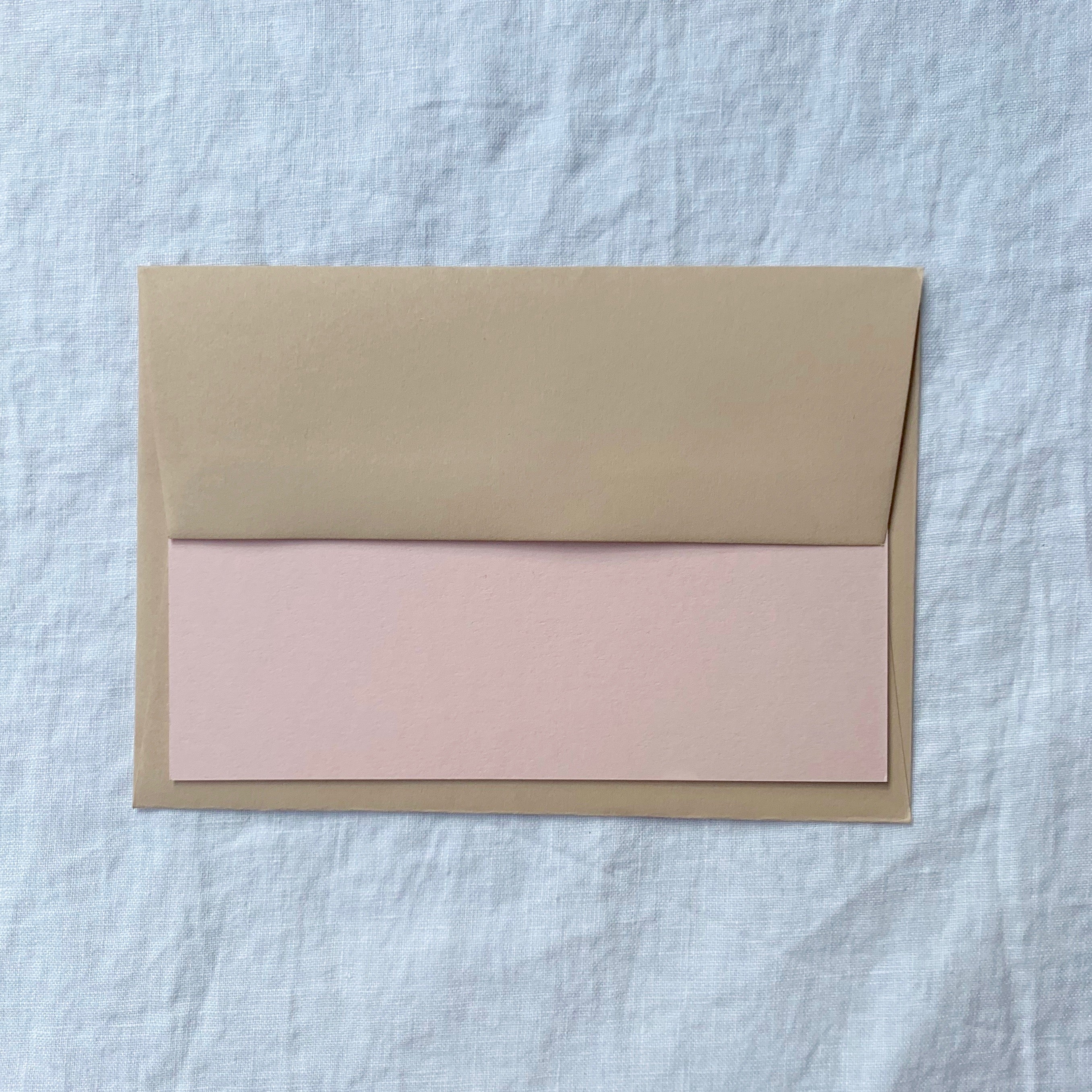Bow Note Cards in Shell