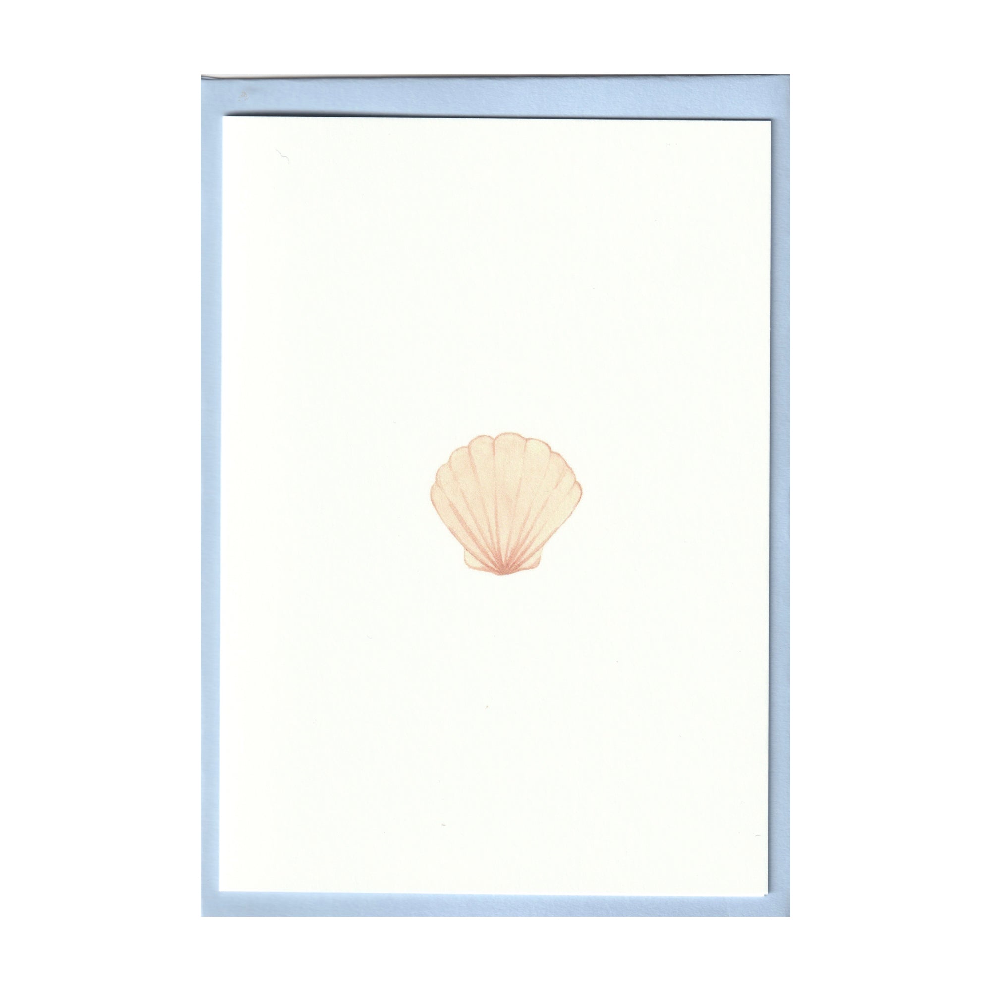 Pack of 5 Seashell Cards