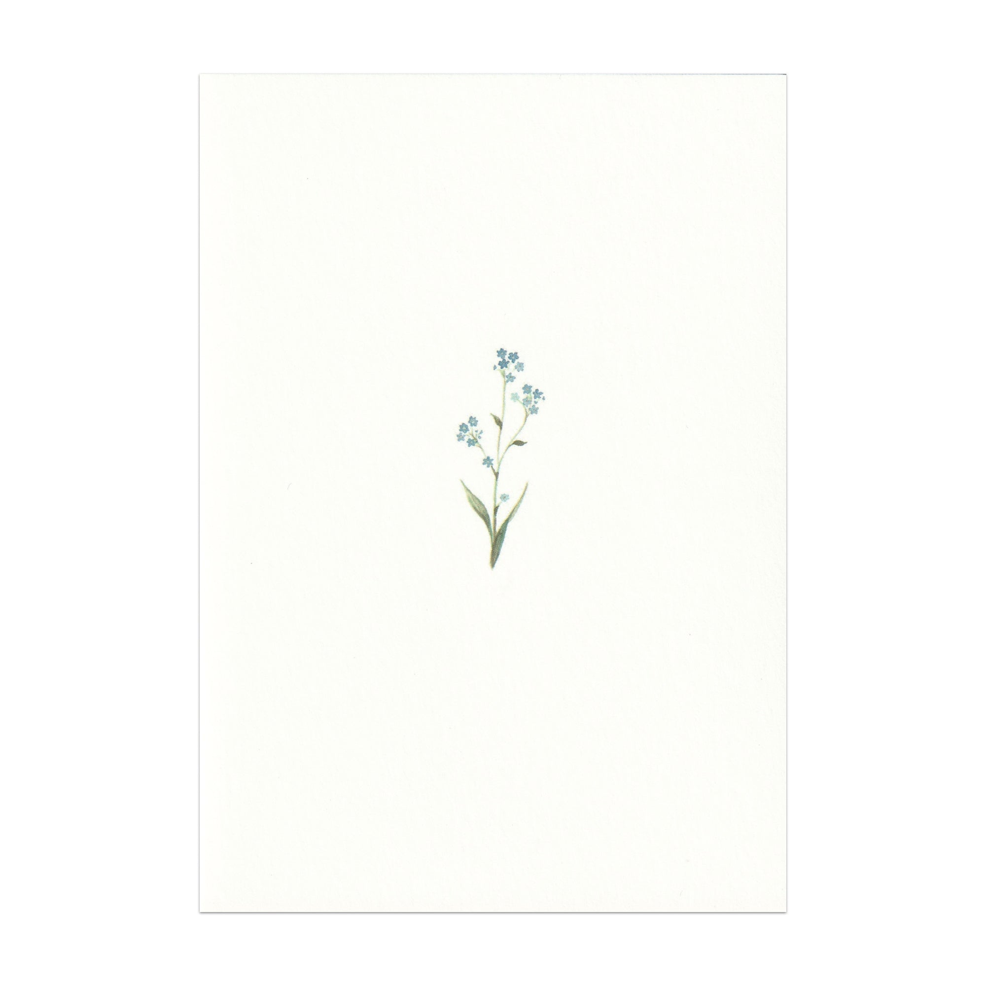 Pack of 5 Forget Me Not Cards - Seconds