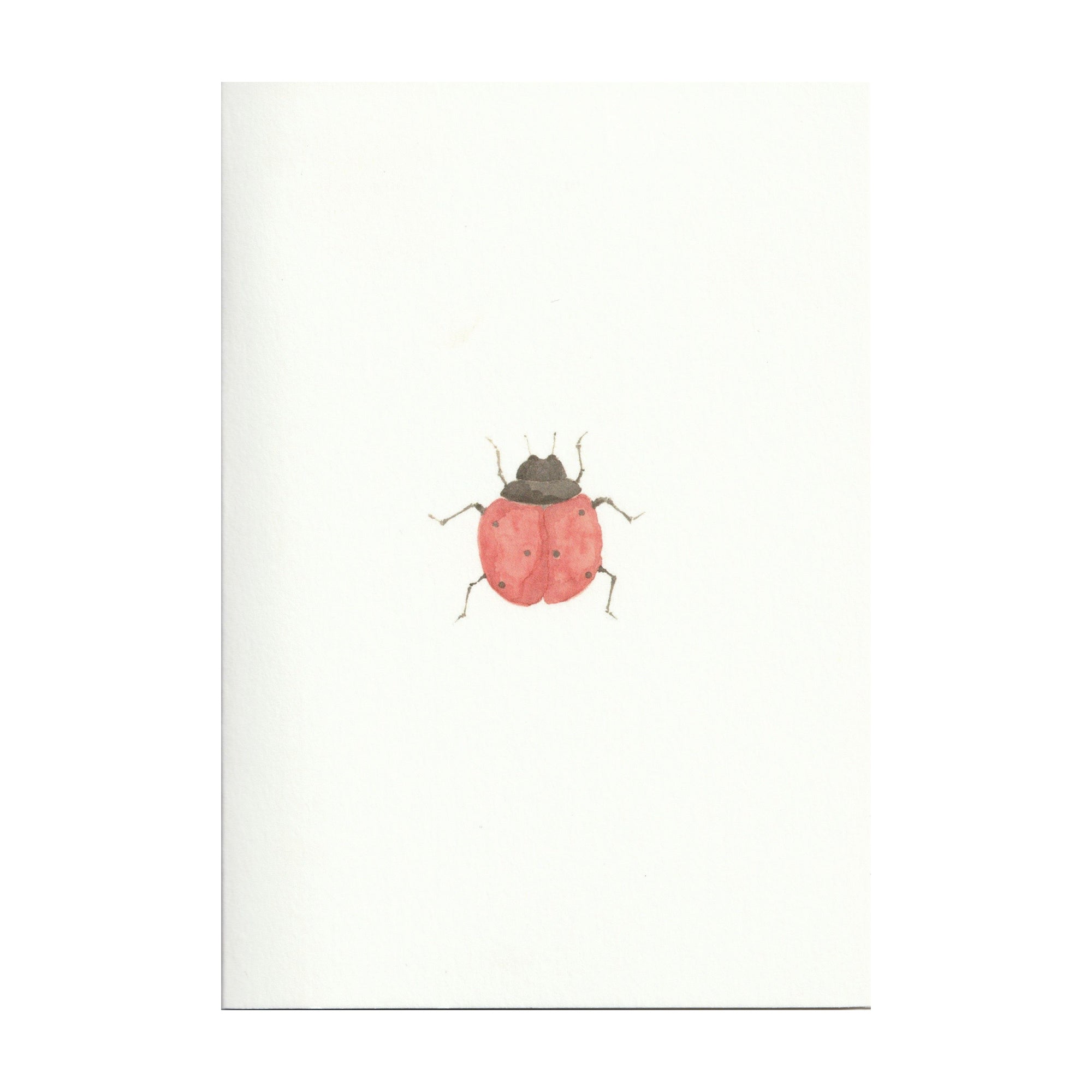 Pack of 5 Ladybird Cards - Seconds