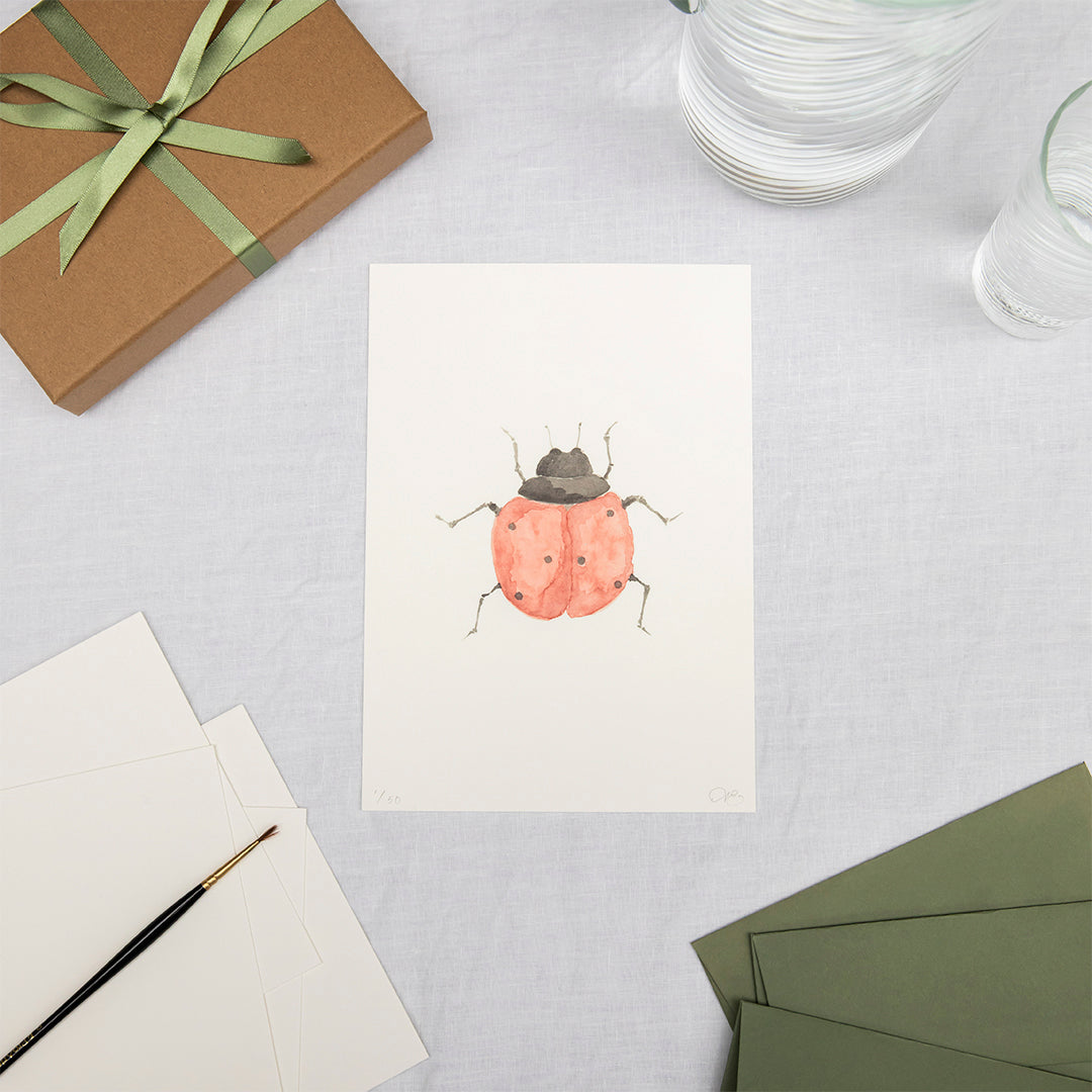 Limited edition print of a watercolour illustration of a ladybird by Memo Press