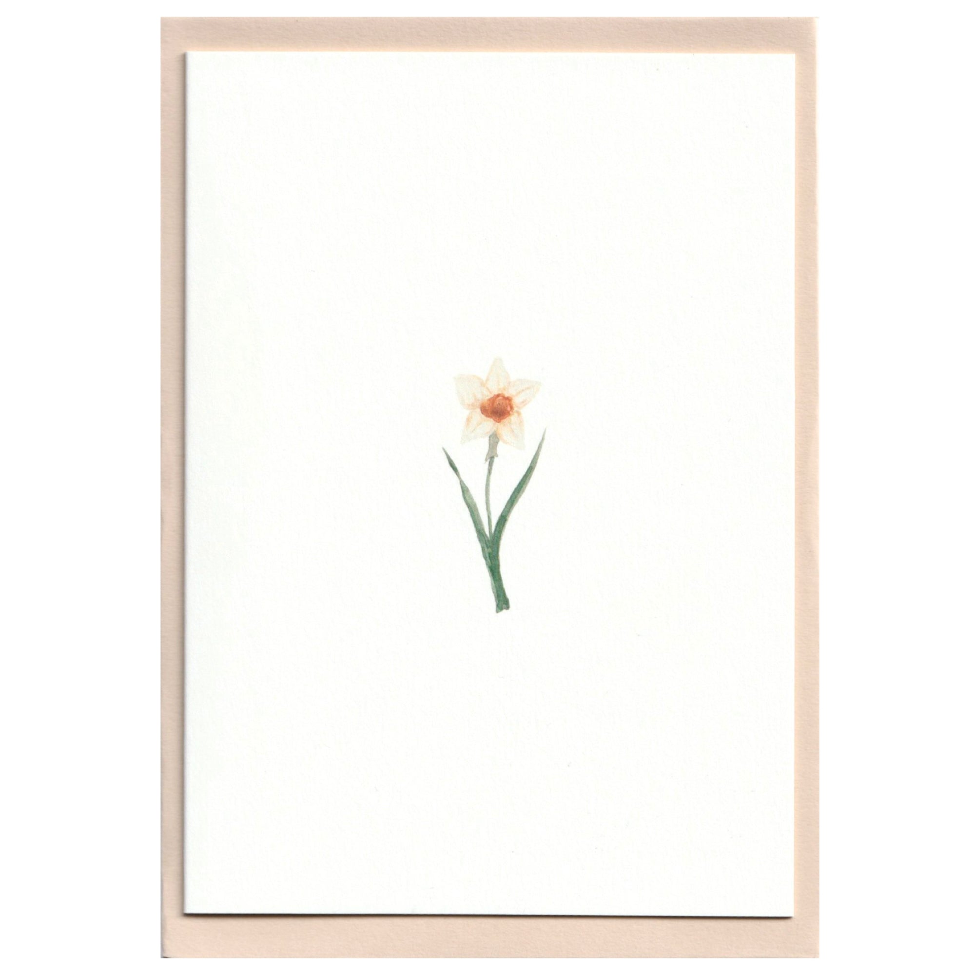 Pack of 5 Flower Cards