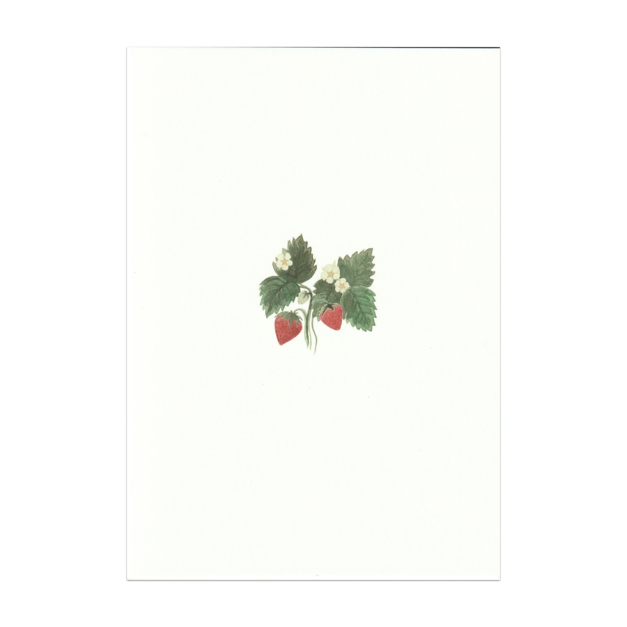 Pack of 5 Strawberry Cards