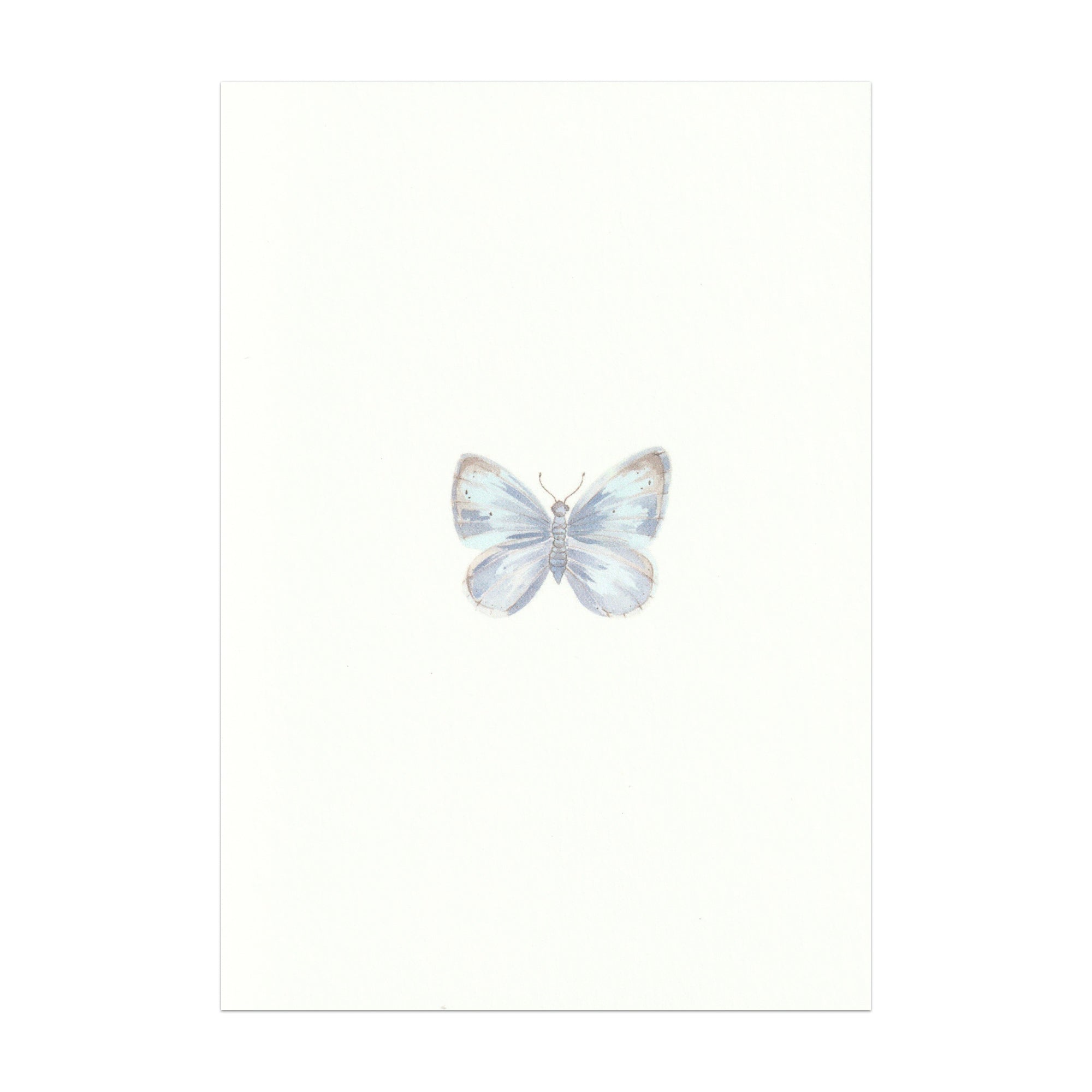 Pack of 5 Butterfly Cards