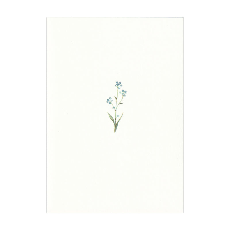 Forget Me Not Card