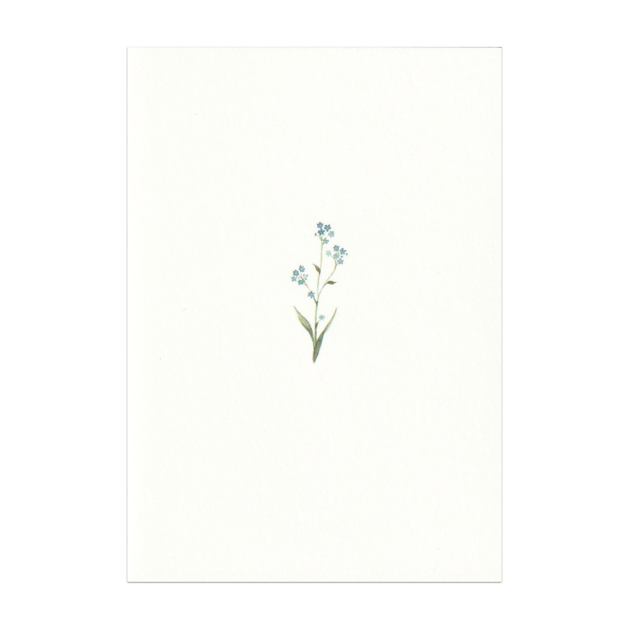 Pack of 5 Forget Me Not Cards