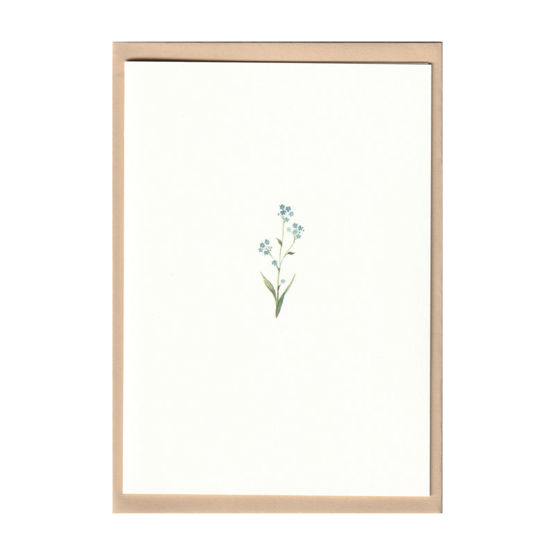 Pack of 5 Forget Me Not Cards