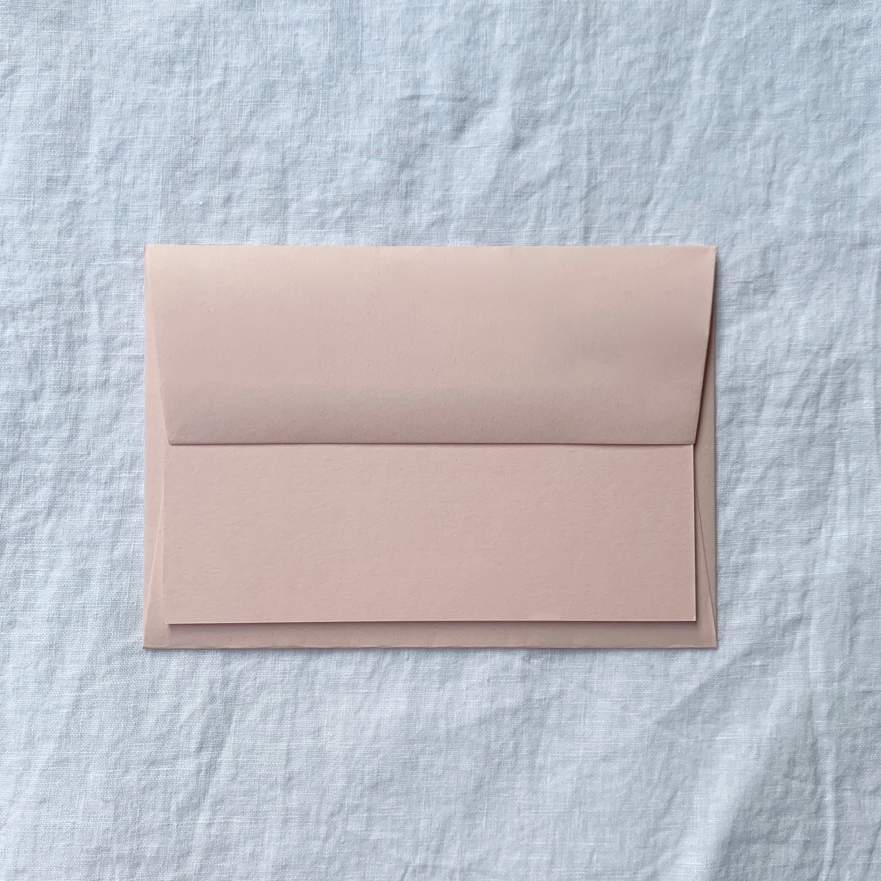 Plain Note Cards in Shell