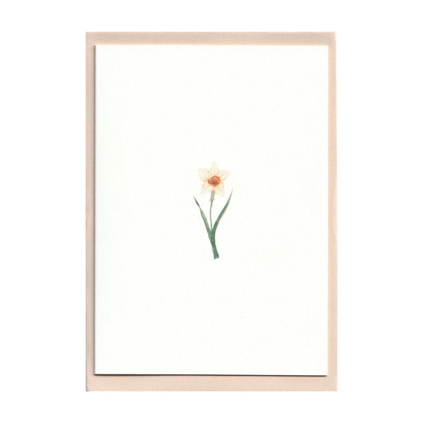 Pack of 5 Daffodil Cards