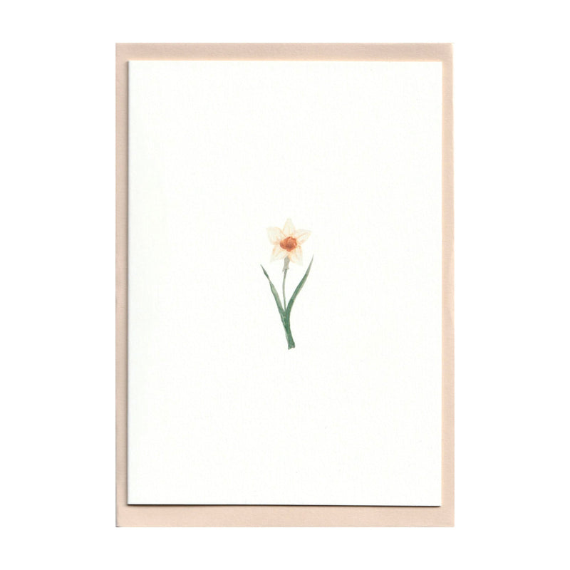 Pack of 5 Daffodil Cards