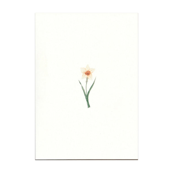 Pack of 5 Daffodil Cards