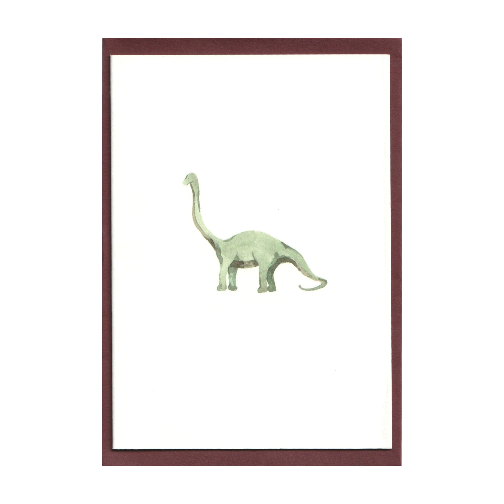 Pack of 5 Diplodocus Dinosaur Cards