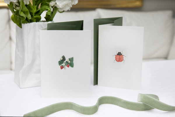 Pack of 5 Ladybird Cards