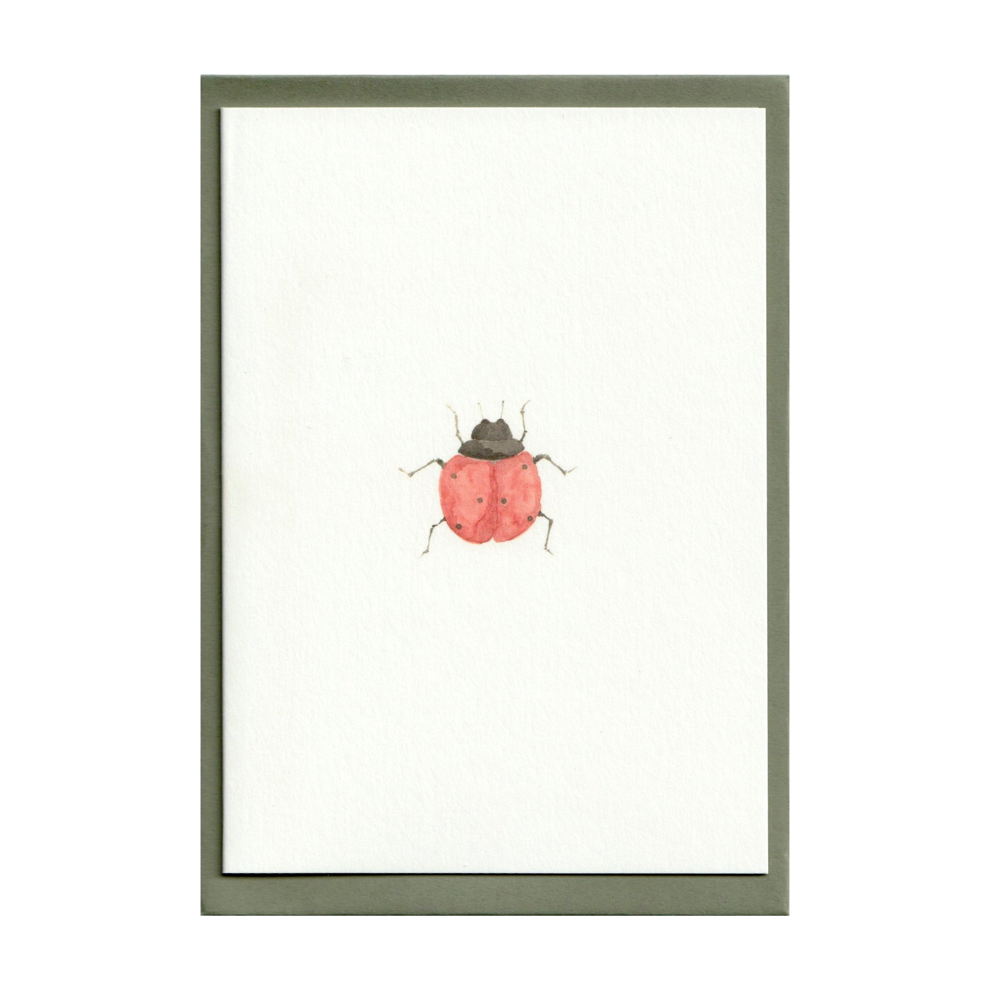 Pack of 5 Ladybird Cards