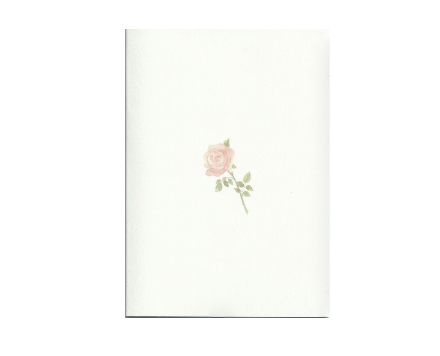 Pack of 5 Valentine's Rose Cards