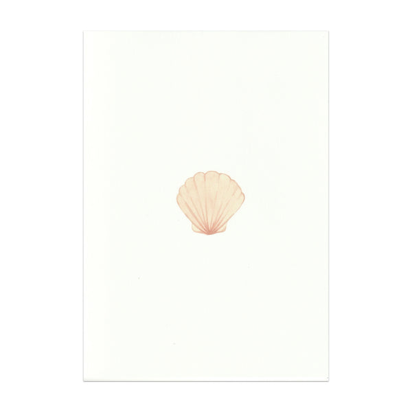 Pack of 5 Seashell Cards